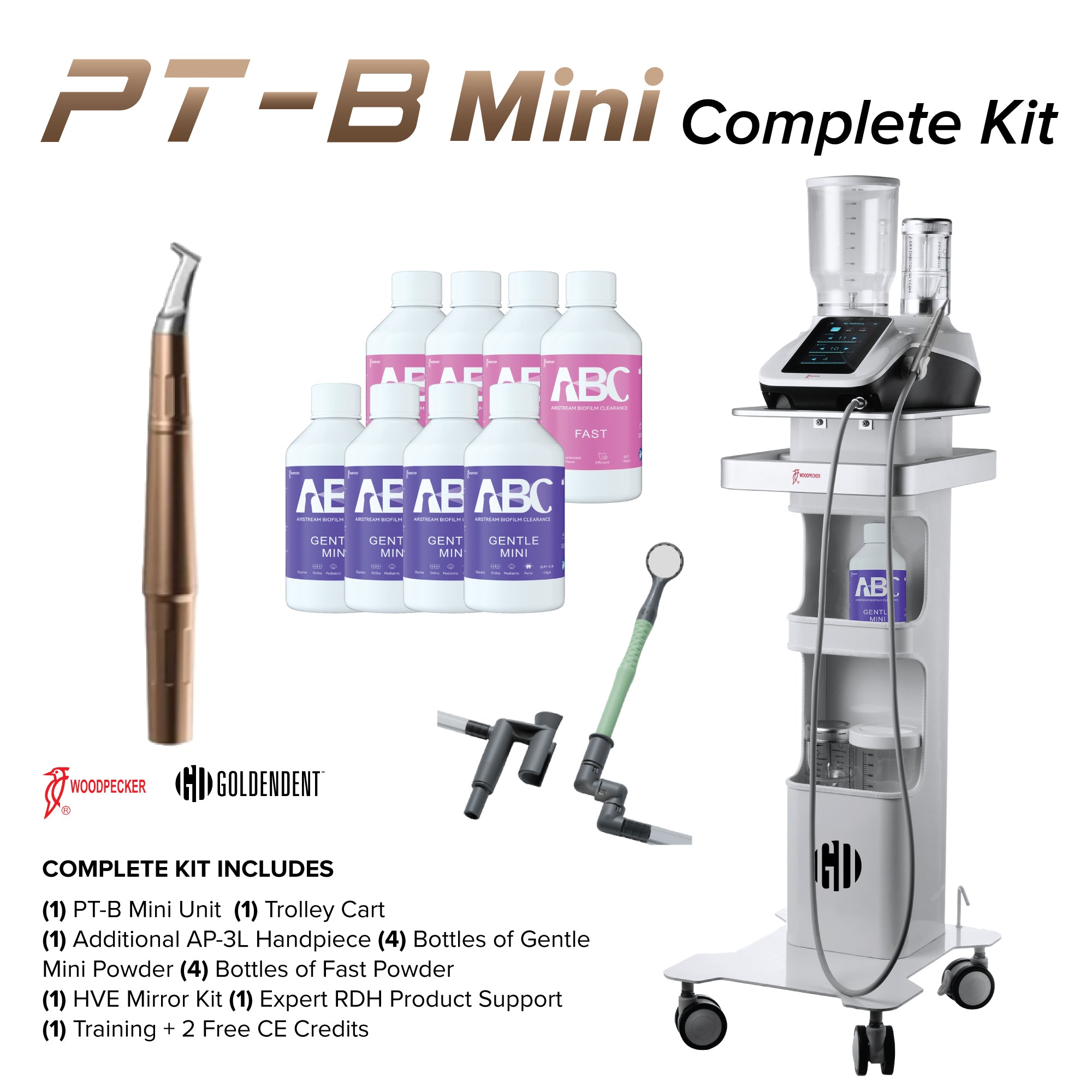 Woodpecker PT-B Mini Complete Kit contents - Woodpecker - GoldenDent